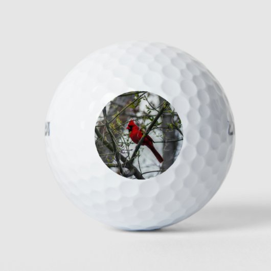Kardinaal Golfballen (Voorkant)