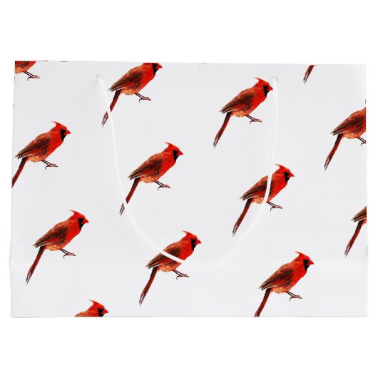 Kardinaal Groot Cadeauzakje (Achterkant)