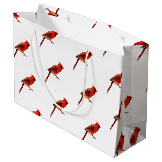 Kardinaal Groot Cadeauzakje (Achterkant Gekanteld)