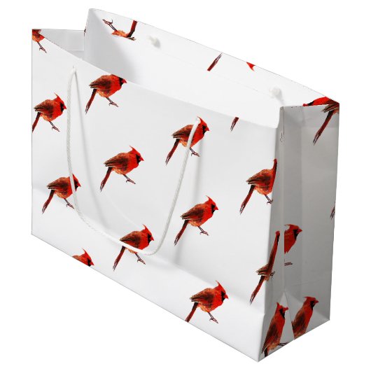 Kardinaal Groot Cadeauzakje (Voorkant Gekanteld)