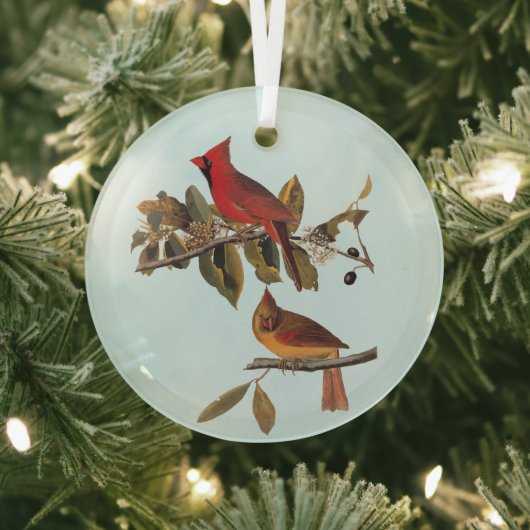 Kardinaal Grosbeak Audubon Birds of America Glas Ornament (Insitu)