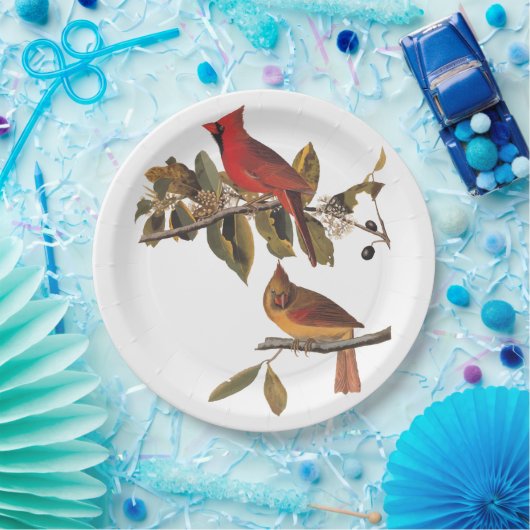 Kardinaal Grosbeak Audubon Birds of America Papieren Bordje (Feest)