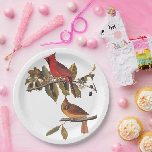 Kardinaal Grosbeak Audubon Birds of America Papieren Bordje (Feest)