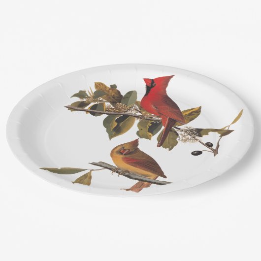 Kardinaal Grosbeak Audubon Birds of America Papieren Bordje (Gekanteld)
