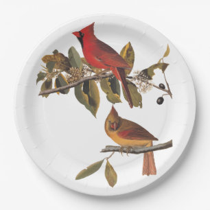 Kardinaal Grosbeak Audubon Birds of America Papieren Bordje