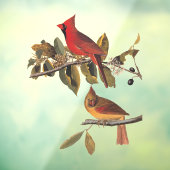 Kardinaal Grosbeak Audubon Birds of America Raamsticker (Vel 3)