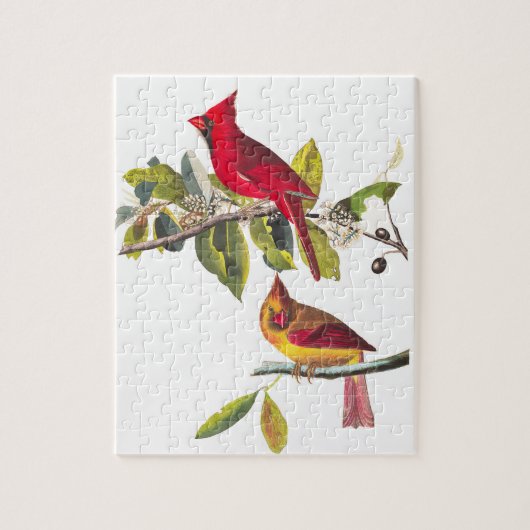 Kardinaal Grosbeak door John James Audubon Legpuzzel (Verticaal)