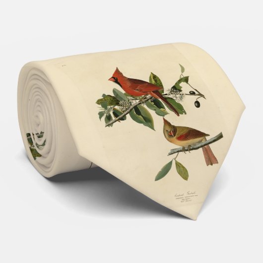 Kardinaal Grosbeak van de Amerikaanse vogels van A Stropdas (Opgerold)