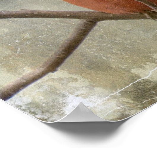 Kardinaal Grunge Poster (Hoek)