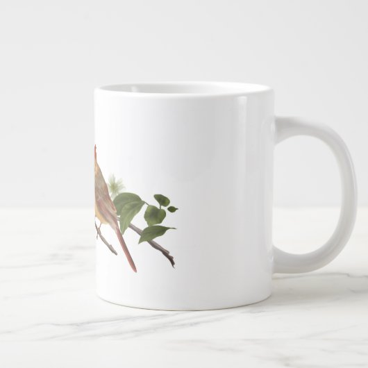 Kardinaal haar grote koffiekop (Rechts)