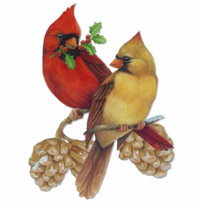 Kardinaal haar staand fotobeeldje  (Voorkant)