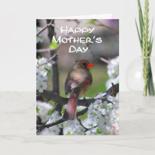 Kardinaal Happy Moederdag Kaart