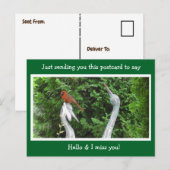 Kardinaal Hiding gezegde Hallo en Miss You Briefkaart (Voorkant / Achterkant)