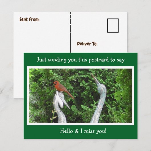 Kardinaal Hiding gezegde Hallo en Miss You Briefkaart (Voorkant / Achterkant)