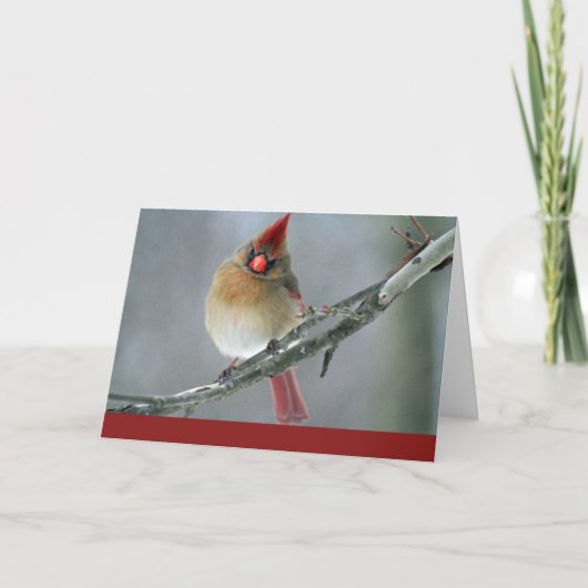 Kardinaal Holiday Kaart (Voorkant)
