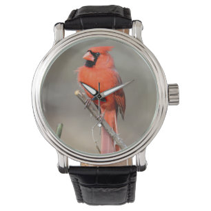 kardinaal horloge