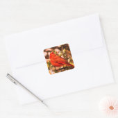 Kardinaal in Apple Blossom Vierkante Sticker (Envelop)