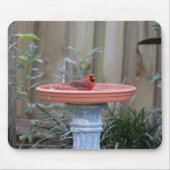 Kardinaal in Birdbath blauw Muismat (Voorkant)
