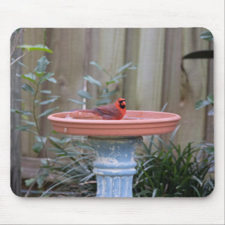 Kardinaal in Birdbath blauw Muismat