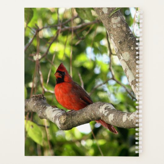 Kardinaal in boom gepersonaliseerd planner (Achterkant)