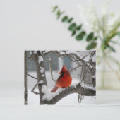 Kardinaal in boombriefkaart briefkaart (Staand voorkant)