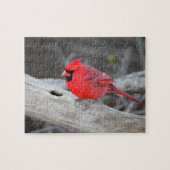Kardinaal in Bossen Legpuzzel (Horizontaal)