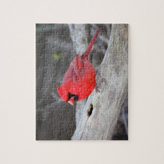 Kardinaal in Bossen Legpuzzel (Verticaal)