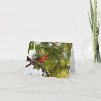 Kardinaal In de lente FL Bedankkaart