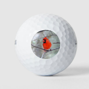 Kardinaal in de sneeuw golfballen
