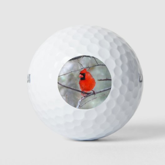 Kardinaal in de sneeuw golfballen (Voorkant)