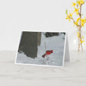 Kardinaal in de sneeuw kaart (Gele Bloem)