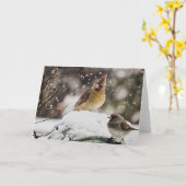  kardinaal in de Sneeuwwitje Kaart (Gele Bloem)