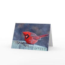 Kardinaal in de wenskaarten