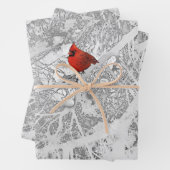 Kardinaal in de winter inpakpapier vel (In situ)
