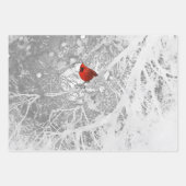 Kardinaal in de winter inpakpapier vel (Voorkant 3)