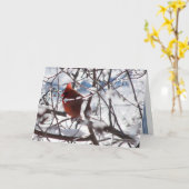 Kardinaal in de Winter Kaart (Gele Bloem)