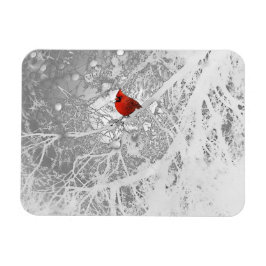 Kardinaal in de winter magneet