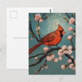 Kardinaal in een bloeiende amandelboom briefkaart (Voorkant / Achterkant)