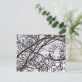 Kardinaal in een boom briefkaart (Staand voorkant)