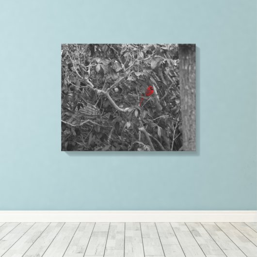 Kardinaal in een boom Uitgerekte Canvas Print (Insitu (Houten vloer))