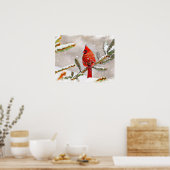 Kardinaal in een dennenboom in de winter poster (Keuken)