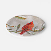 Kardinaal in een dennenboom papieren bordje (Gekanteld)