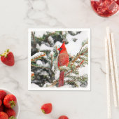 Kardinaal in een dennenboom servetten (Insitu)