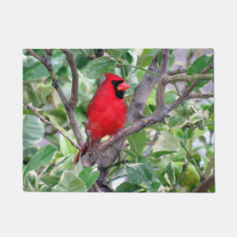 Kardinaal in een Lemon-boom - Doormat Deurmat