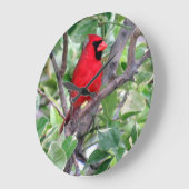 Kardinaal in een Lemon-boom - Runderende vogelklok Grote Klok (Hoek)