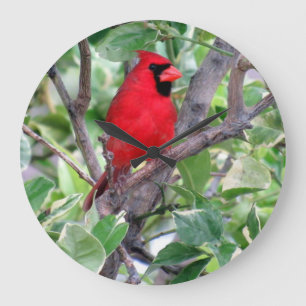 Kardinaal in een Lemon-boom - Vogel - Wandklok