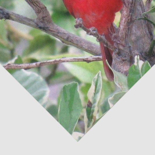 Kardinaal in een Lemon-boom - Weefpapier Tissuepapier (Detail)