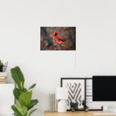 Kardinaal in een sneeuwstorm poster (Thuiskantoor)