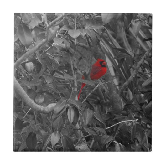 Kardinaal in een tegel tegeltje (Voorkant)