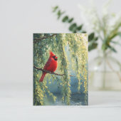 Kardinaal in een wilgenboom briefkaart (Staand voorkant)